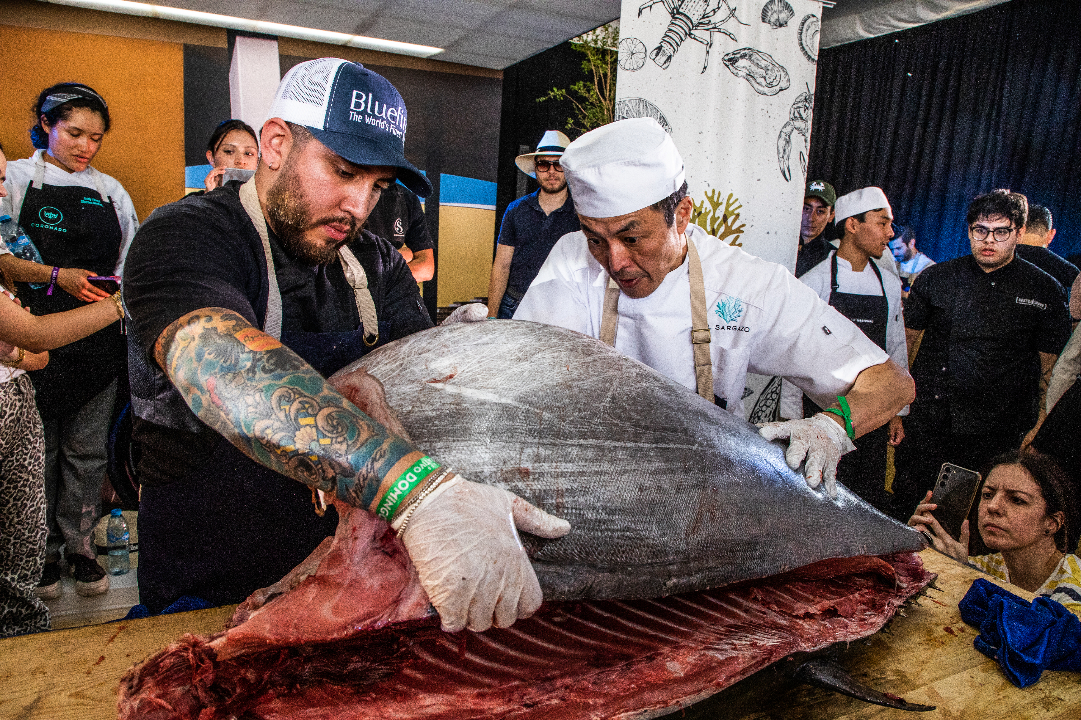 Food & Wine Festival